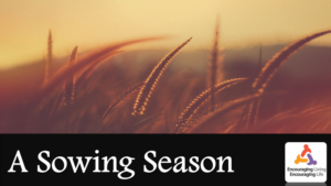sowing-season